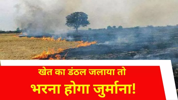 डंठल जलने की निगरानी कर रहा सैटेलाइट। (प्रतीकात्मक तस्वीर)