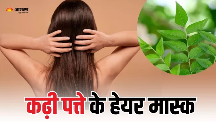 कढ़ी पत्ते से मिलेंगे मुलायम, घने बाल (Picture Courtesy: Freepik)
