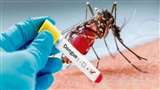 Dengue In Gorakhpur: गांव में फैलने लगा डेंगू। (प्रतीकात्मक तस्वीर)