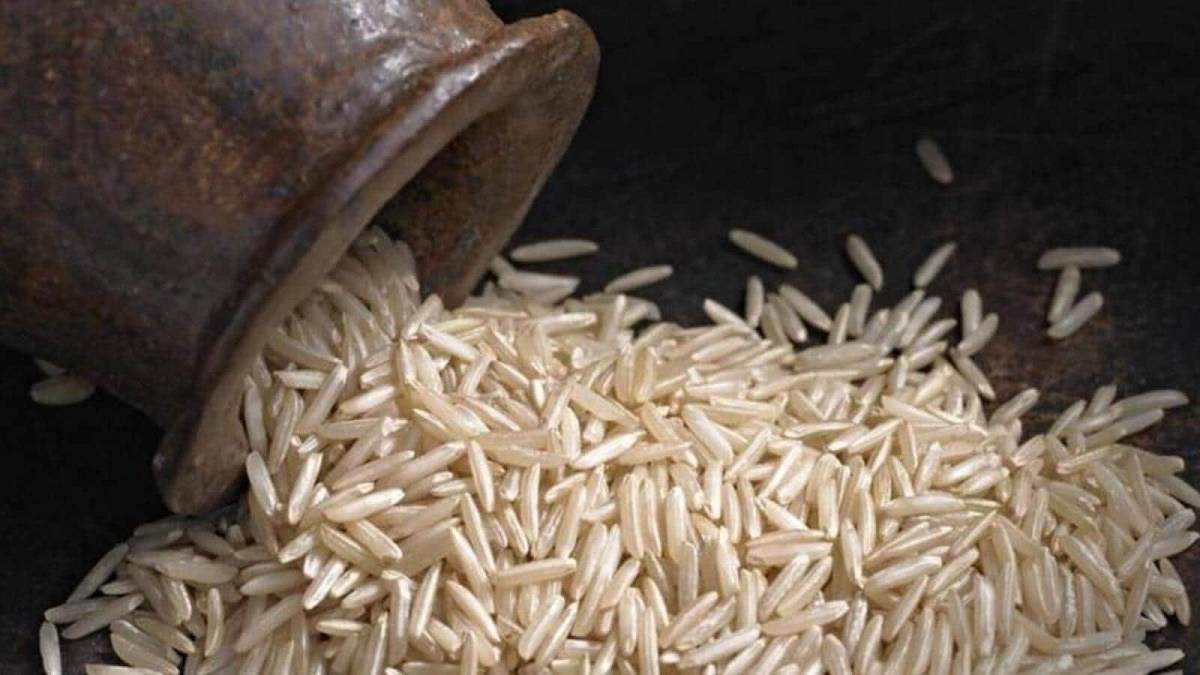fortified rice will serve in mid day meal in schools of uttarakhand