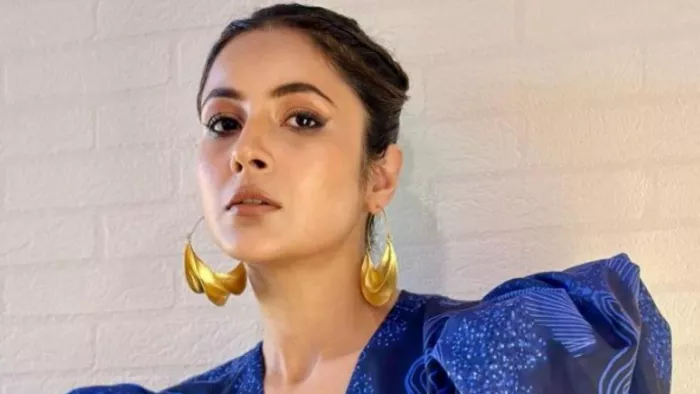 File Photo of Shehnaaz Gill. Photo Credit: Shehnaaz Gill Instagram