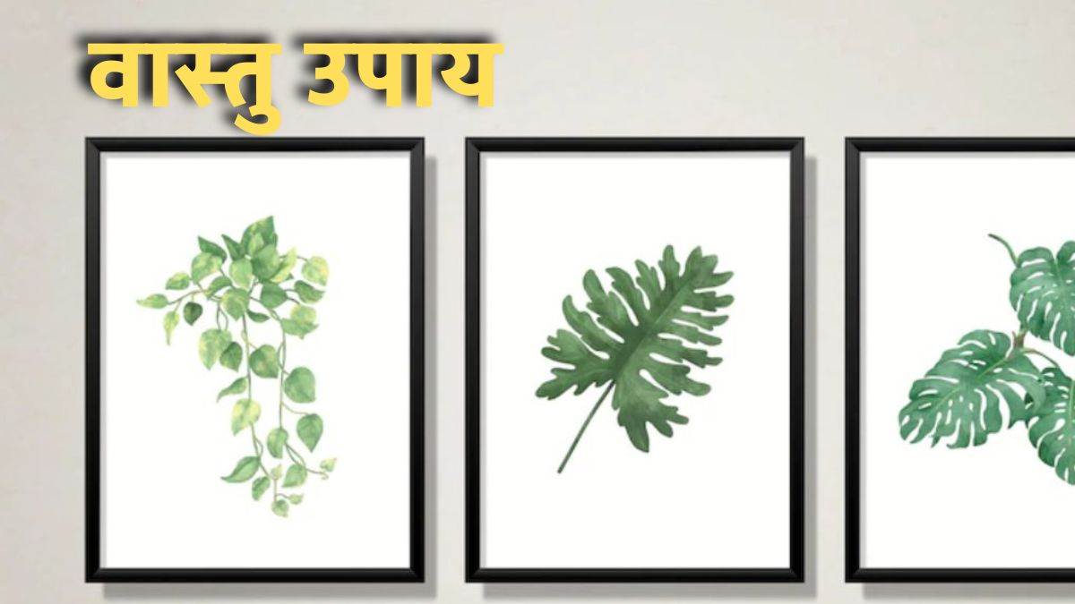 vastu tips know upay for pictures on the wall for home and office