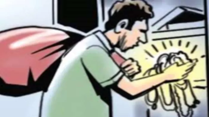 अलमारी का ताला बनाने के नाम पर लॉकर से लाखों की ज्वेलरी लेकर फरार।