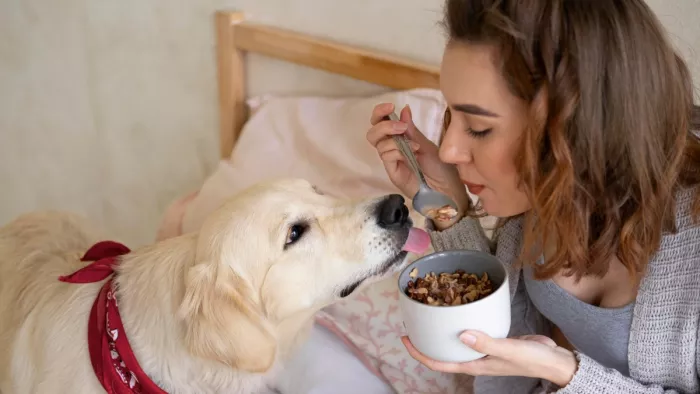 Pet Health Care: अपने पालतू जानवरों का ऐसे रखें ख्याल