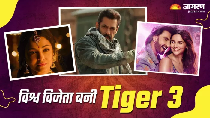 टाइगर 3 ने इन फिल्मों को वर्ल्डवाइड कलेक्शन में दी मात/ फोटो- दैनिक जागरण ग्राफिक्स