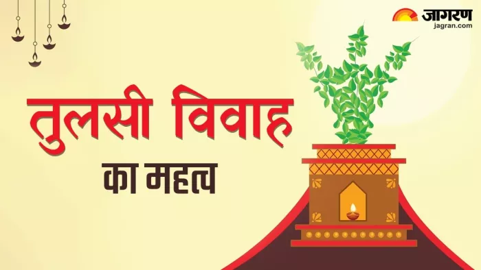 Tulsi Vivah 2023: इस दिन होगा तुलसी विवाह
