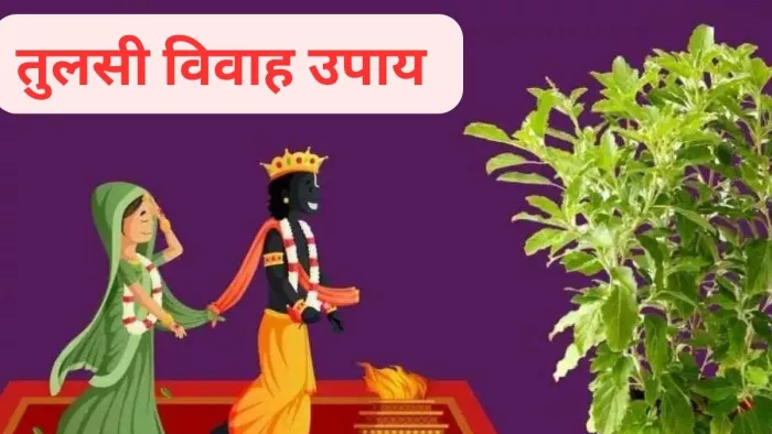 Tulsi Vivah 2023: तुलसी विवाह के अचूक उपाय