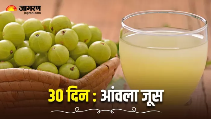 30 दिनों तक आंवला जूस पीने से आपके शरीर में क्या हो सकता है? (Image Source: Freepik)