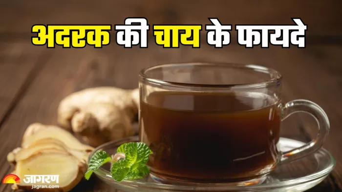 गुणों का खजाना अदरक की चाय (Picture Credit- Freepik)