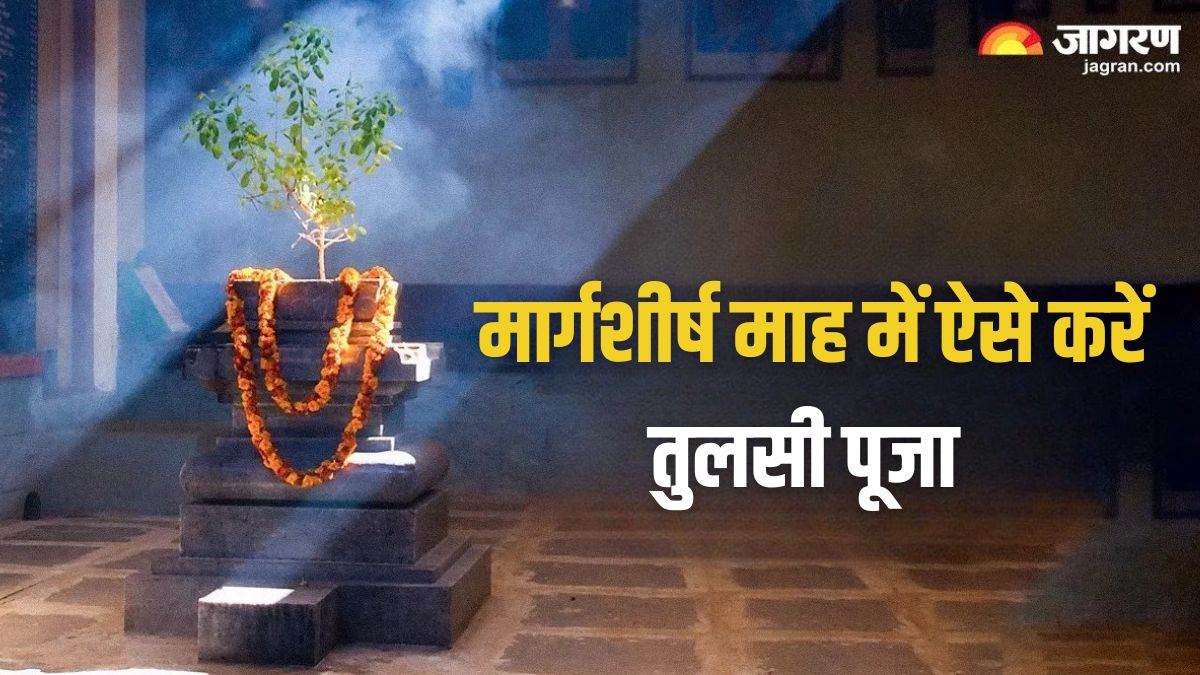 margashirsha month 2024 tulsi puja vidhi and benefits in hindi