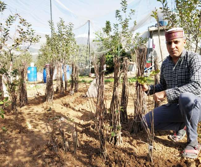 download the new version for apple Farming 2020 download the new version for apple Farming 2020
