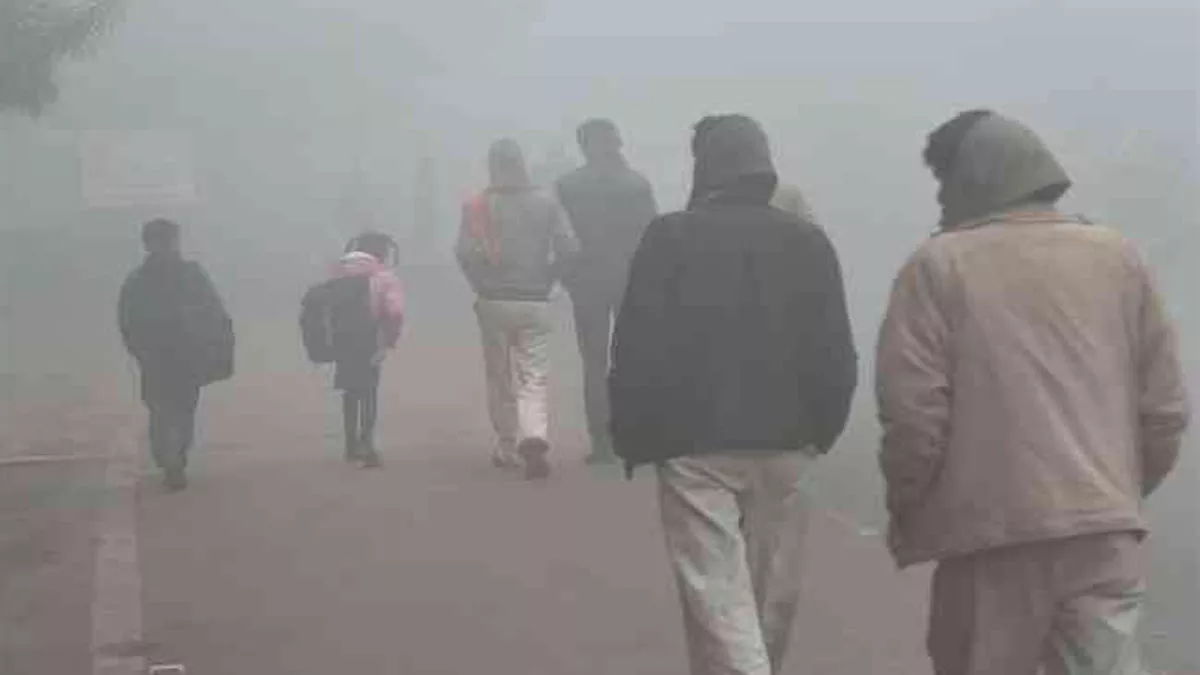 Uttarakhand Weather : कोहरे और पाले से सुबह-शाम गिर रहा पारा
