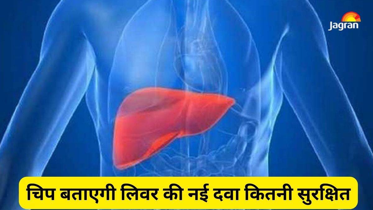 liver on chip will tell how safe new medicines are for humans patent for new device also received