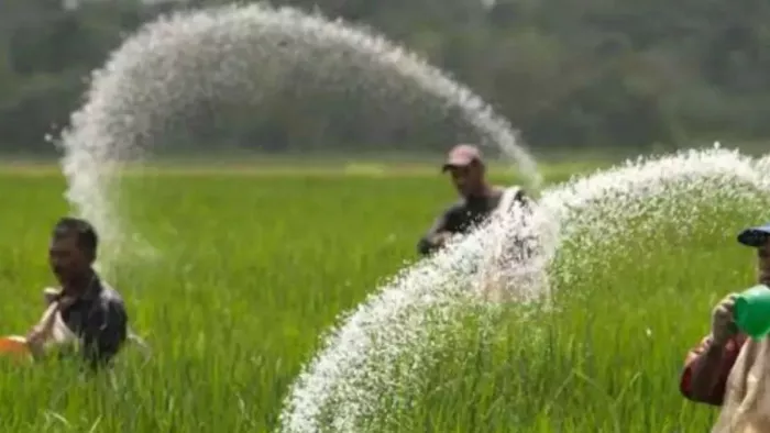Agricultural: रासायनिक खाद का अगर आप भी कर रहे धड़ल्ले से उपयोग तो सावधान।