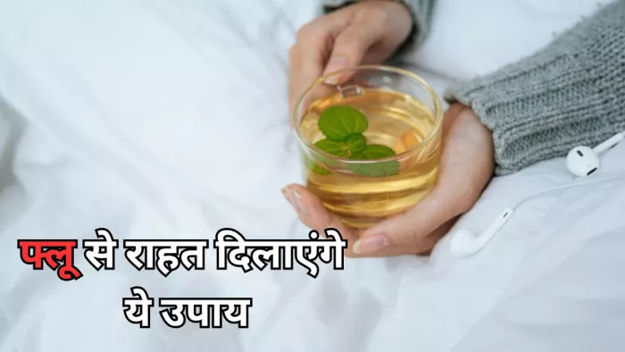 सीजनल फ्लू ने कर दिया है परेशान, तो ये उपाय दिलाएंये राहत