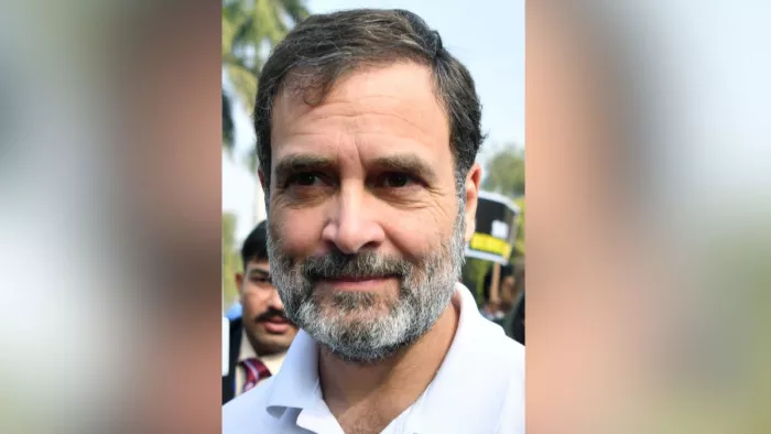 वायनाड से सांसद राहुल गांधी (फोटो: एएनआई)
