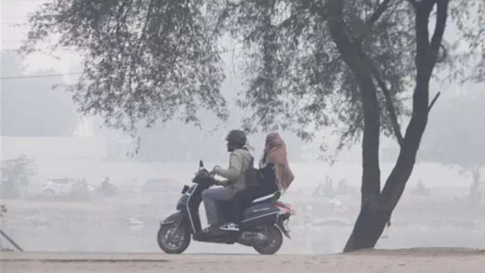 हरियाणा में ठंड से लोग परेशान, धुंध ने रोकी रफ्तार। AP