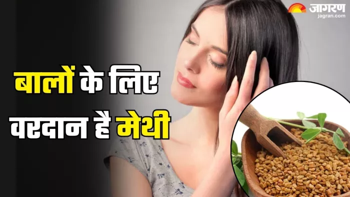 हेल्दी बालों के लिए ऐसे करें मेथी का इस्तेमाल (Picture Credit- Freepik)