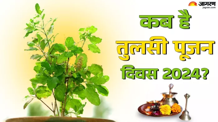 Saphala Ekadashi 2024: मां तुलसी की पूजा विधि।