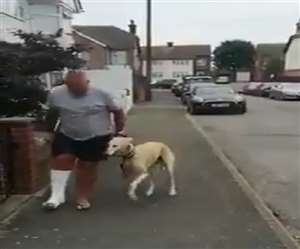 डॉगी अपने मालिक की स्थिति से अवगत है।