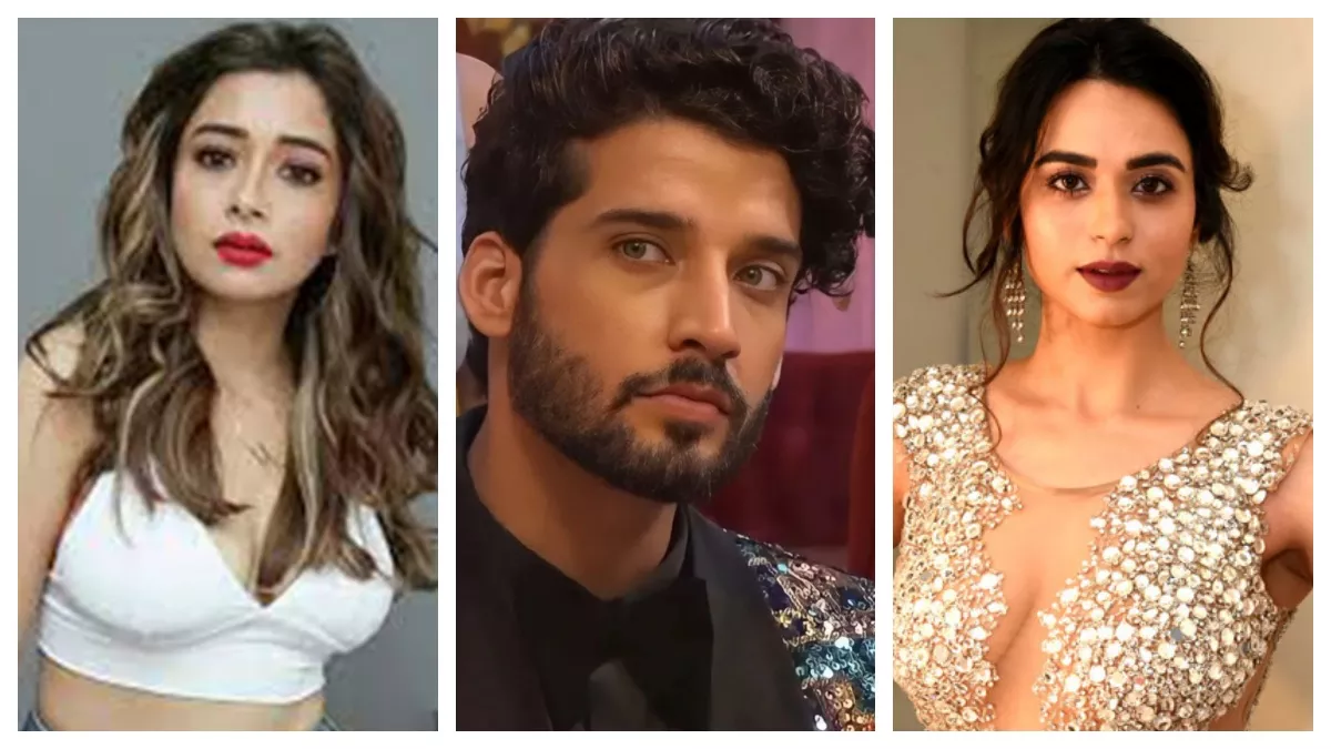 Bigg Boss 16, Gautam vig, tina datta Shoundarya sharma, shalin bhanot