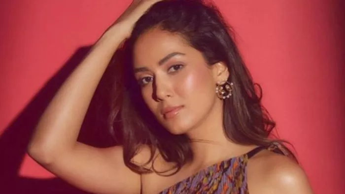 File Photo of Mira Rajput. Photo Credit: Mira Rajput Instagram