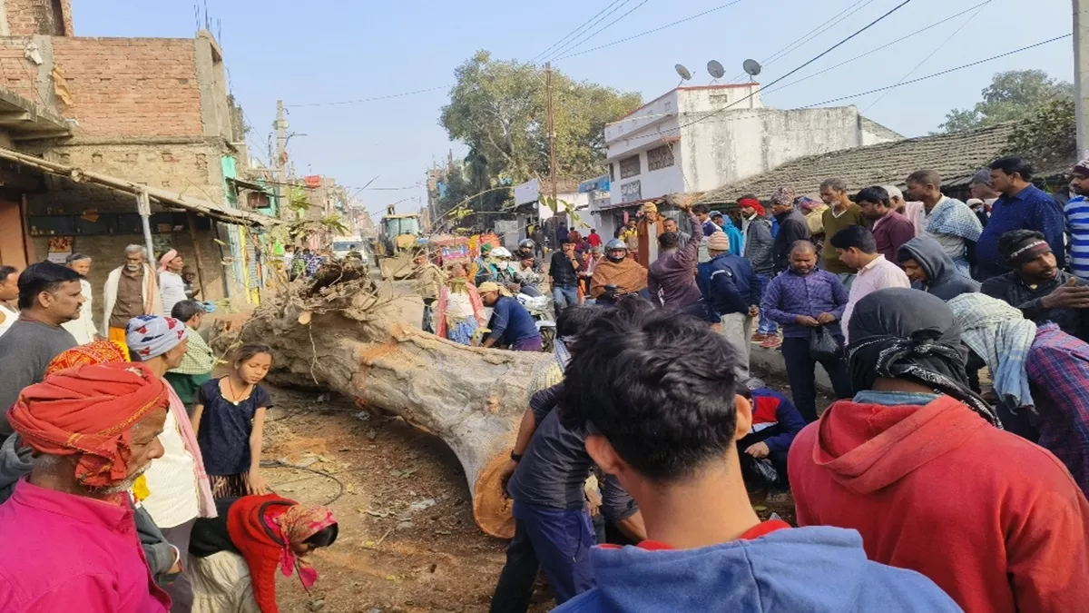 Bhagalpur News:  काटा गया 150 वर्ष पुराना अर्जुन का पेड़ , देखने वाले सैकड़ों लोग हुए भावुक, एक घंटे तक लगा रहा जाम