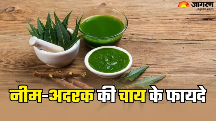 नीम अदरक की चाय के फायद (Picture Credit- Freepik)