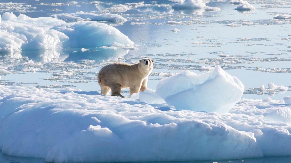 https://www.jagranimages.com/images/newimg/21012025/21_01_2025-north_pole_moving_23870814.jpg