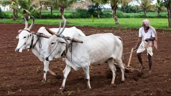किसानों की फार्मर रजिस्ट्री को कर दिया गया है अनिवार्य।
