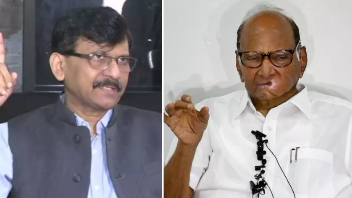 संजय राउत और शरद पवार। ( फाइल फोटो