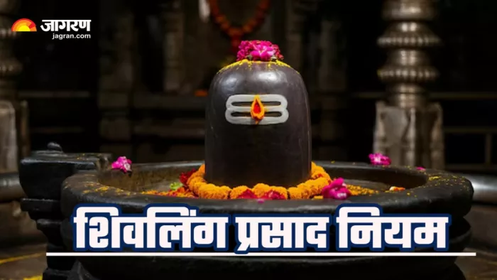 shivling puja niyam क्यों नहीं खाते शिवलिंग पर चढ़ा प्रसाद? (Picture Credit: Freepik) (AI Image)