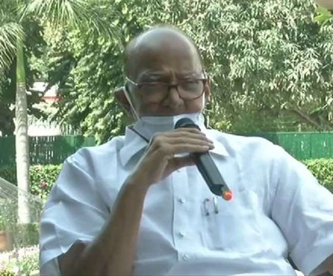 एनसीपी चीफ शरद पवार की प्रेस काफ्रेंस। (फाइल फोटो)