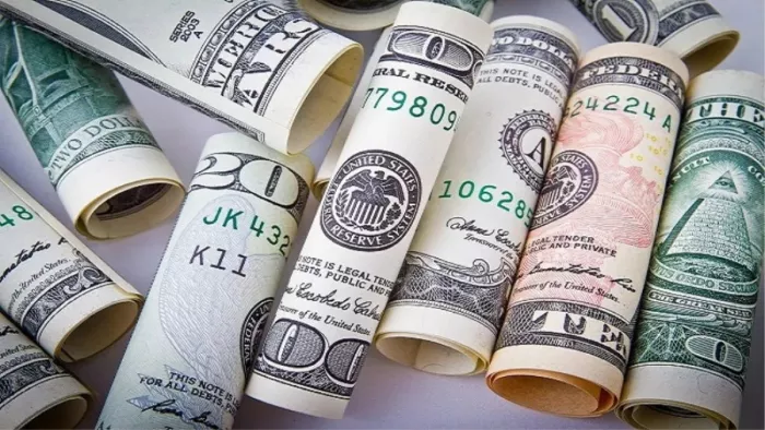 Foreign Exchange Reserves Explained, See Impact on Country's Economy