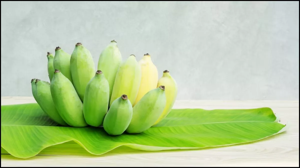 Raw Banana Benefits: डायबिटीज के मरीजों के लिए बेहद गुणकारी हैं कच्चे केले,  जानें इसके अन्य फायदे