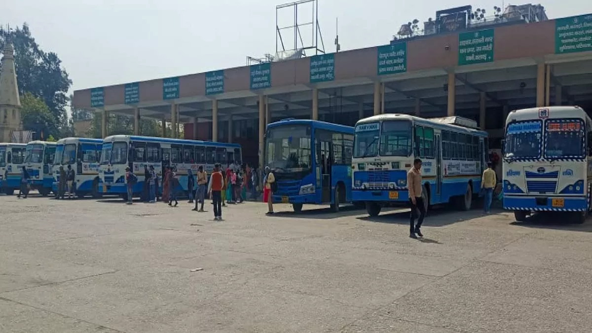 Holi Roadways Buses: होली पर घर जाने की टेंशन छोड़ो, इन रुटों पर दौड़ेंगी रोडवेज की ज्यादा बसें; पढ़ लीजिए पूरी जानकारी