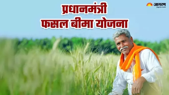 Pradhan Mantri Fasal Bima Yojana: एक लाख किसानों के लिए अच्छी खबर। जागरण ग्राफिक्स