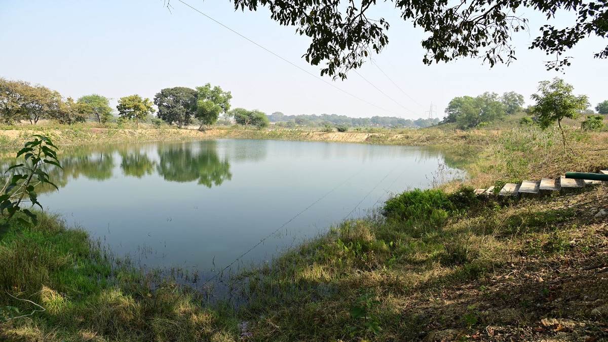 https://www.jagranimages.com/images/newimg/21032025/21_03_2025-chaibasa_news_1_23903763.jpg