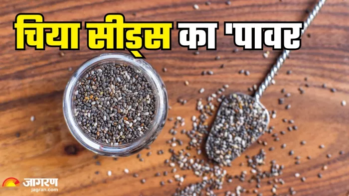 क्या होगा अगर दो हफ्ते तक रोज खाएंगे चिया सीड्स (Picture Credit- Freepik)