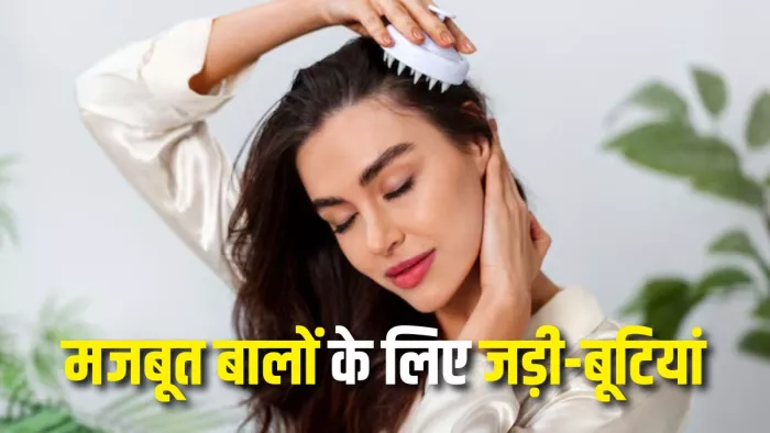 Hair Care Tips: बालों को मजबूत बनाने के लिए जरूर करें इन जड़ी-बूटियों का इस्तेमाल (Picture Courtesy: Freepik)