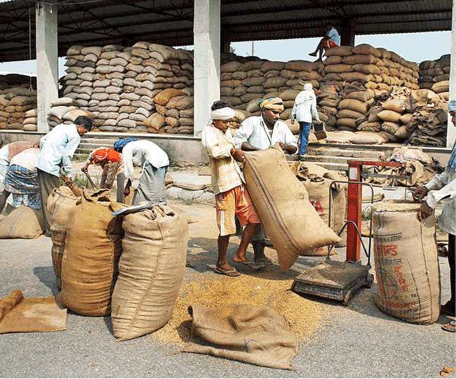 खाद्य उत्पादों के वर्गीकरण पर जोर। फाइल