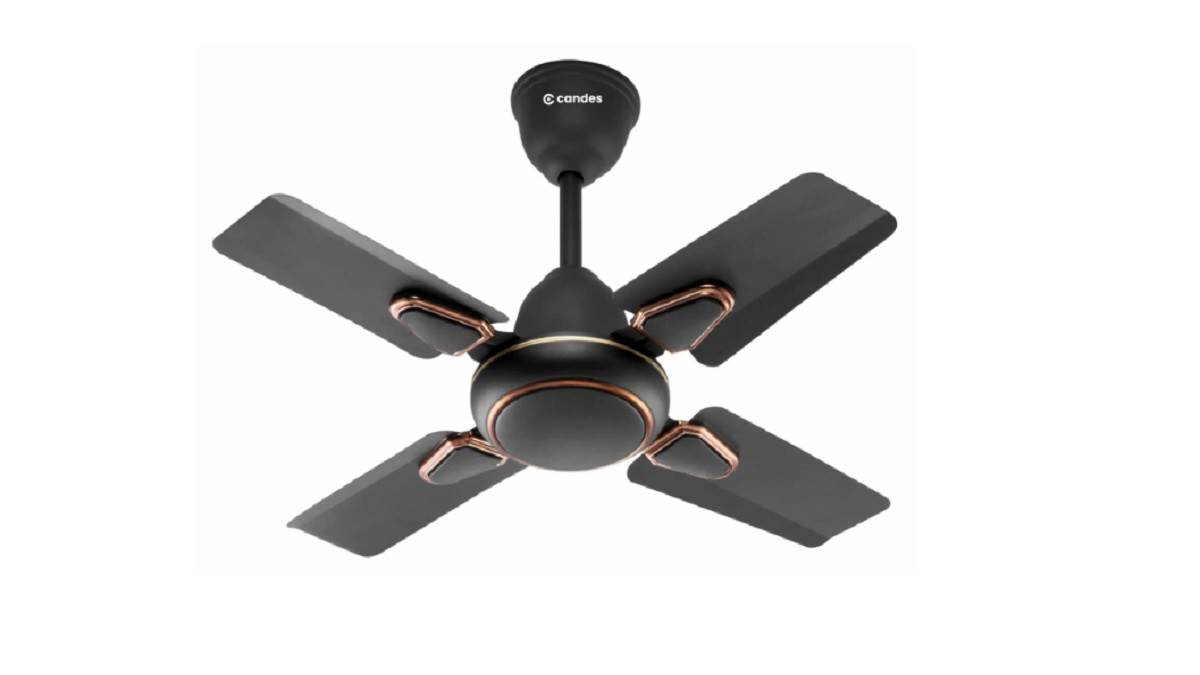 Best Ceiling Fans Under 4000: लिविंग रूम हो या असेंबली हाल, सभी के लिए ठीक हैं ये फैन, मिनटों में मिलेगी राहत