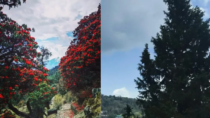 लखनऊ के पास मौजूद हैं ये बेहद खूबसूरत हिल स्टेशन,