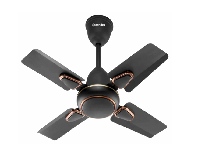 Best Ceiling Fans Under 4000: लिविंग रूम हो या असेंबली हाल, सभी के लिए ठीक  हैं ये फैन, मिनटों में मिलेगी राहत - Best Ceiling Fans Under 4000: लिविंग  रूम हो या