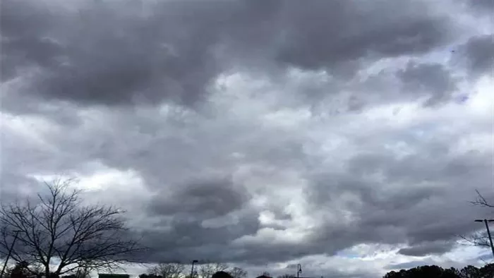 Himachal Weather Update: आंधी-ओलावृष्टि से गेहूं और सेब को नुकसान। फाइल फोटो
