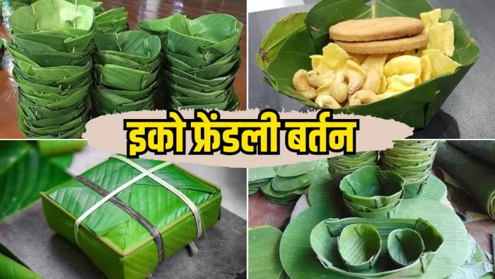 World Earth Day 2024: आज क्यों जरूरी हो गया है इको-फ्रेंडली बर्तनों का इस्तेमाल?