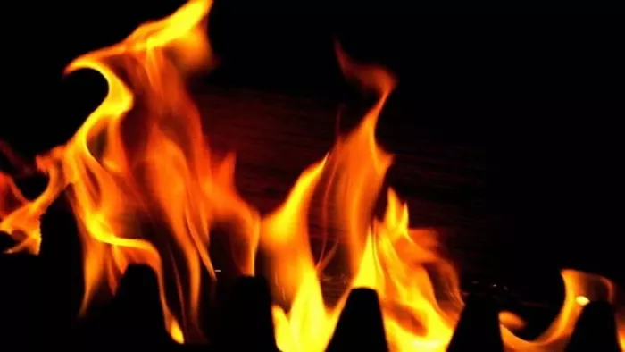 ओडिशा टाइगर रिजर्व के जंगलों में लगी आग (File Photo)