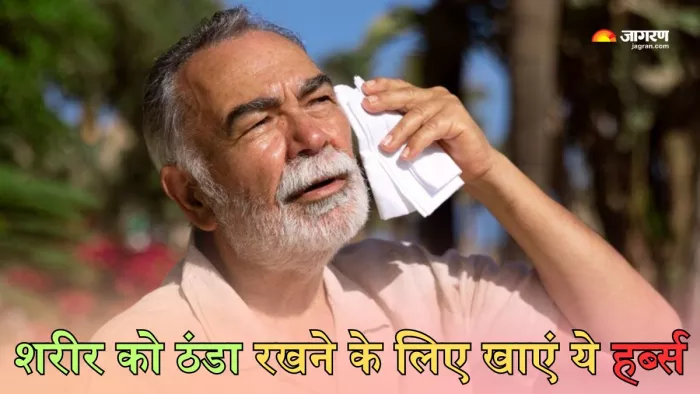 गर्मियों में इन हर्ब्स से मिलेगी शरीर को ठंडक