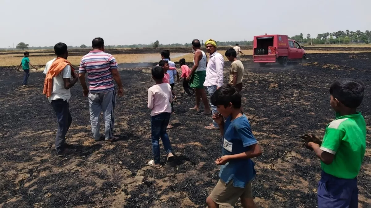 Rohtas News: रोहतास में आग लगने से 60 बीघे के गेहूं की खड़ी फसल जलकर नष्ट, दर्जनों किसानों को भारी नुकसान