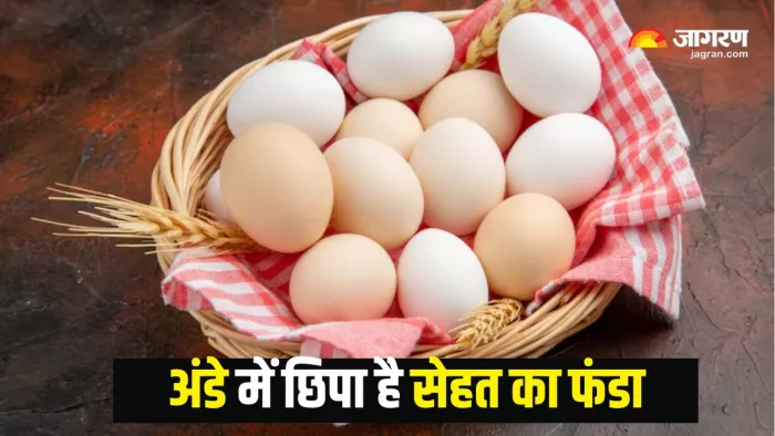 Eggs Health Benefits: रोज अंडे खाने से सेहत को मिलेंगे ढेरों फायदे (Picture Courtesy: Freepik)